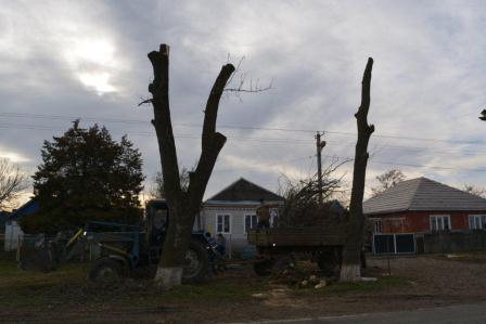 В Ванновском сельском поселении продолжаются работы по благоустройству